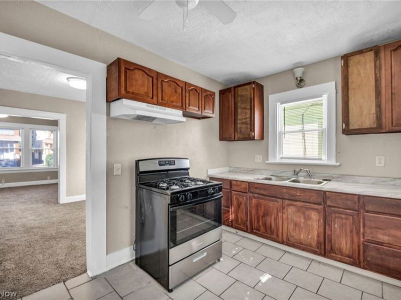 447 E 115 Street, Cleveland, OH 44108 Photo 11