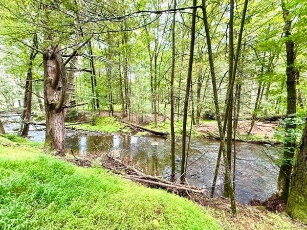 Lot 9 Black Forest Road , Glen Spey, NY 12737