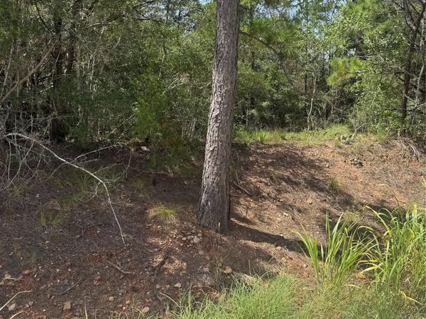 Lot 1252 TBA Hanauma DR , Bastrop, TX 78602