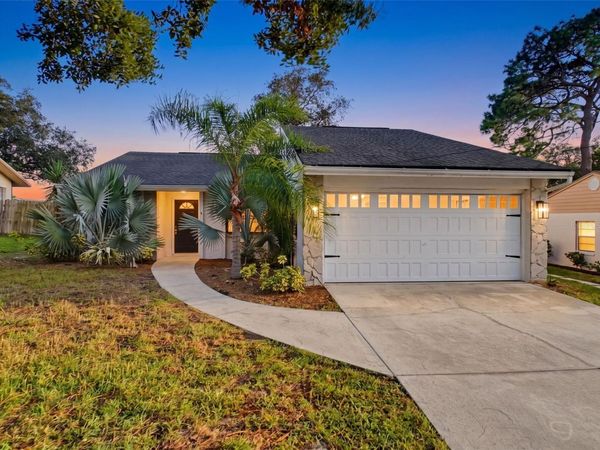 1112 E LEMON STREET, TARPON SPRINGS, FL 34689