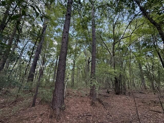 0000 Log Cabin Lane Photo 10