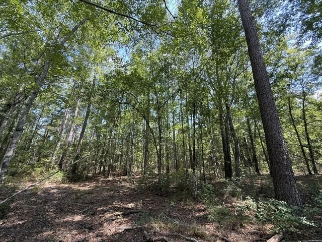 0000 Log Cabin Lane Photo 13