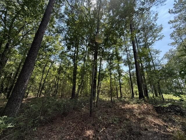 0000 Log Cabin Lane Photo 14