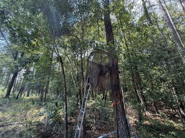 0000 Log Cabin Lane Photo 4