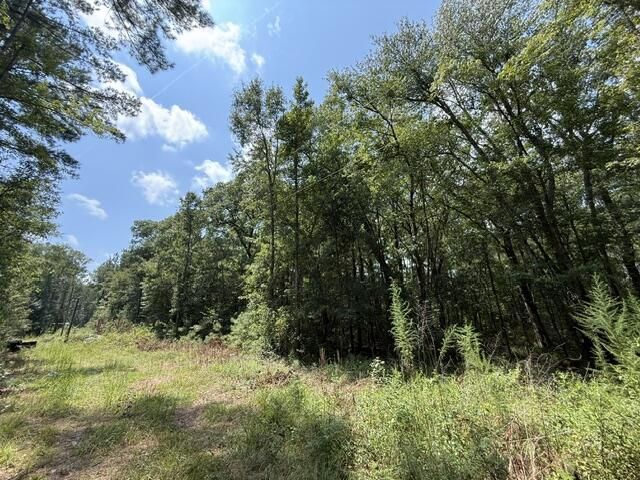 0000 Log Cabin Lane Photo 5