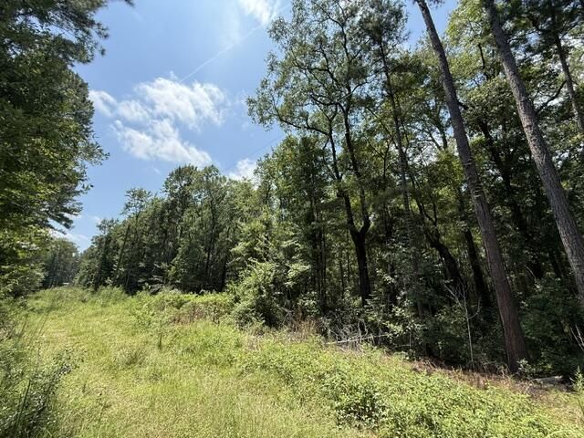 0000 Log Cabin Lane Photo 6