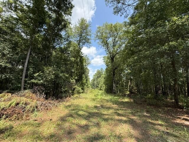 0000 Log Cabin Lane Photo 7