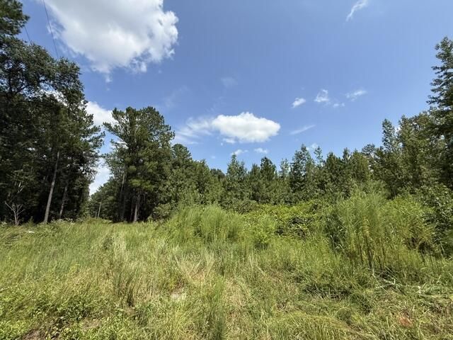 0000 Log Cabin Lane Photo 8