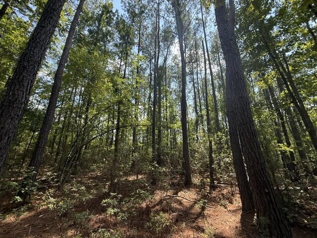 0000 Log Cabin Lane Photo 9