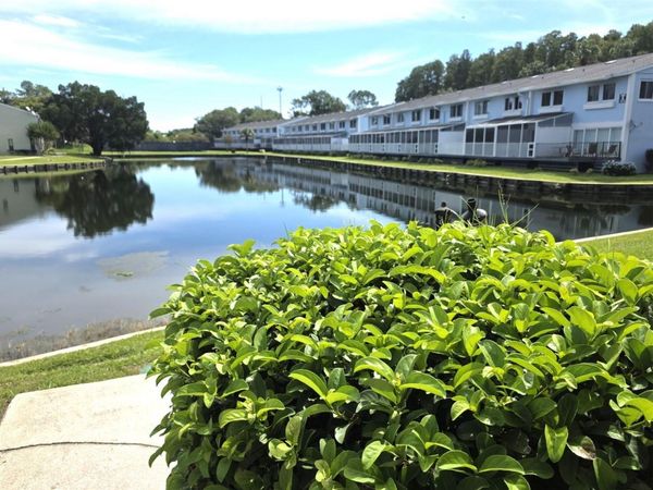 1778 SAMURAI POINT, Unit Q4, LUTZ, FL 33558