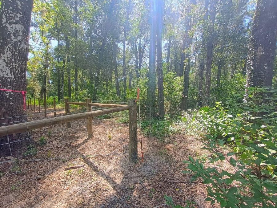 Property Image 50