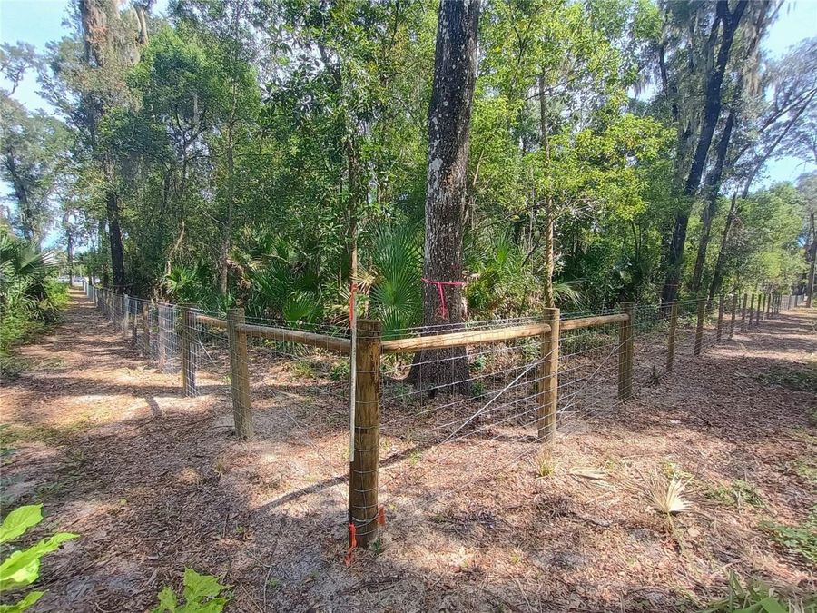 Property Image 53