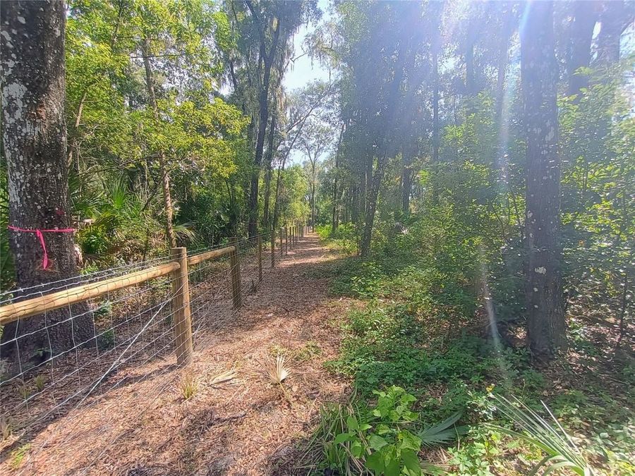 Property Image 54