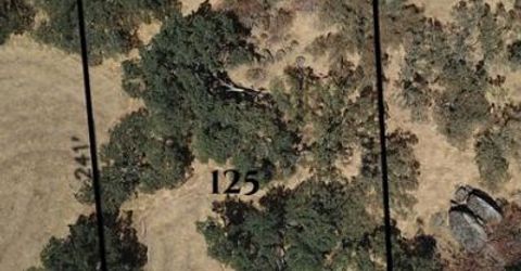 15327-15331 Havlicek St, Rancho Murieta, CA 95683 Photo