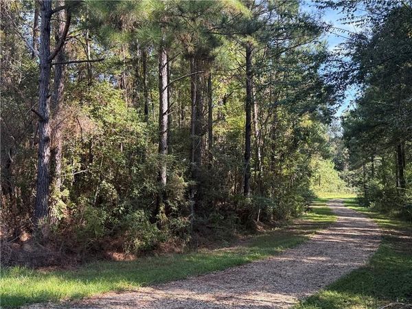 TBD IZEBELLA Drive , Amite, LA 70422