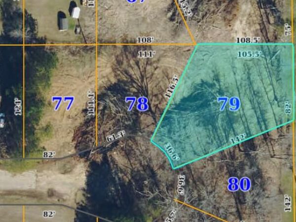 LOT 79, Doris St., Verona, MS 38801