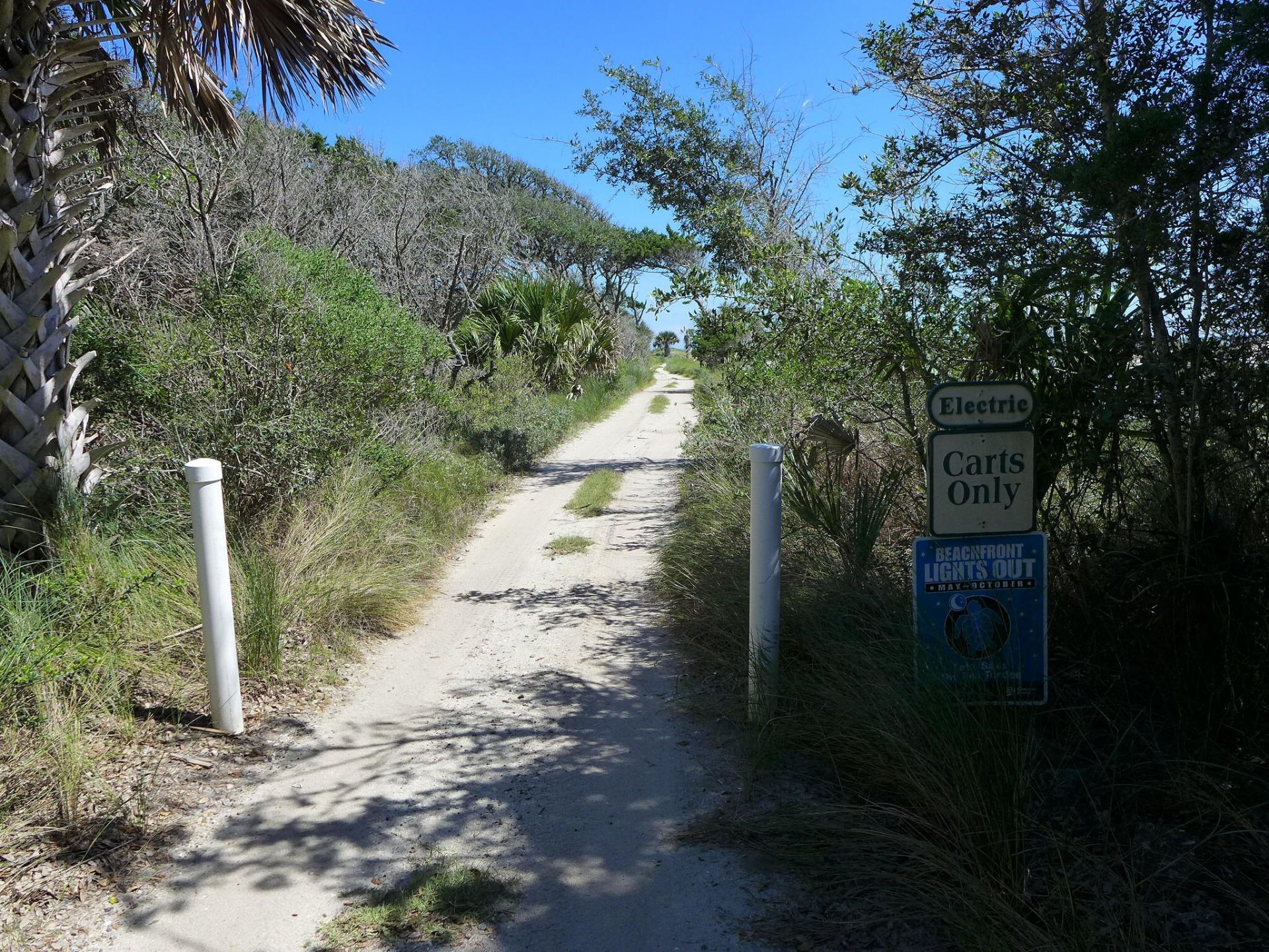 75 Lost Village Trail Photo 58