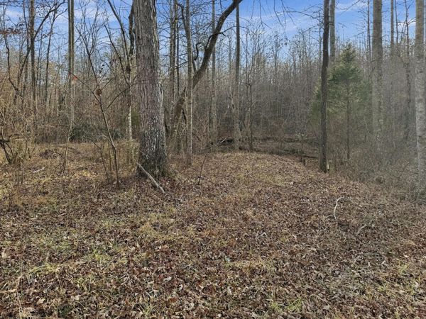 0 Simmons Street, Crossville, TN 38572