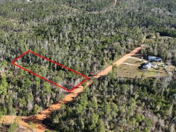 BIENVILLE COURT , ALFORD, FL 32420