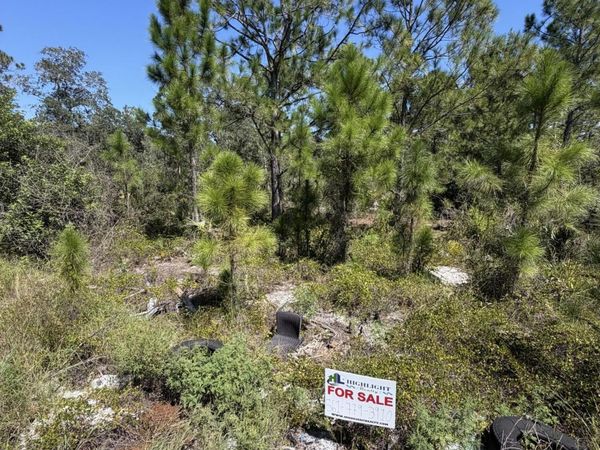 375 CONCERT Drive, Lake Placid, FL 33852