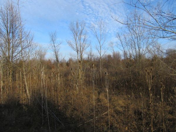 0-lot 8 Grant Street, Merrillville, IN 46410