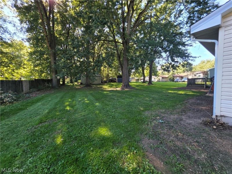 46429 Dogwood Circle, New Waterford, OH 44445 Photo 15
