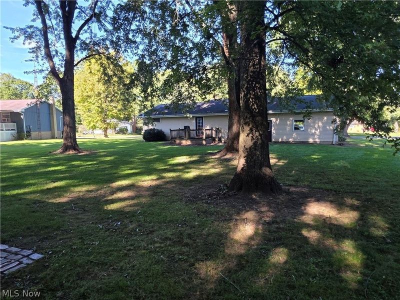 46429 Dogwood Circle, New Waterford, OH 44445 Photo 8