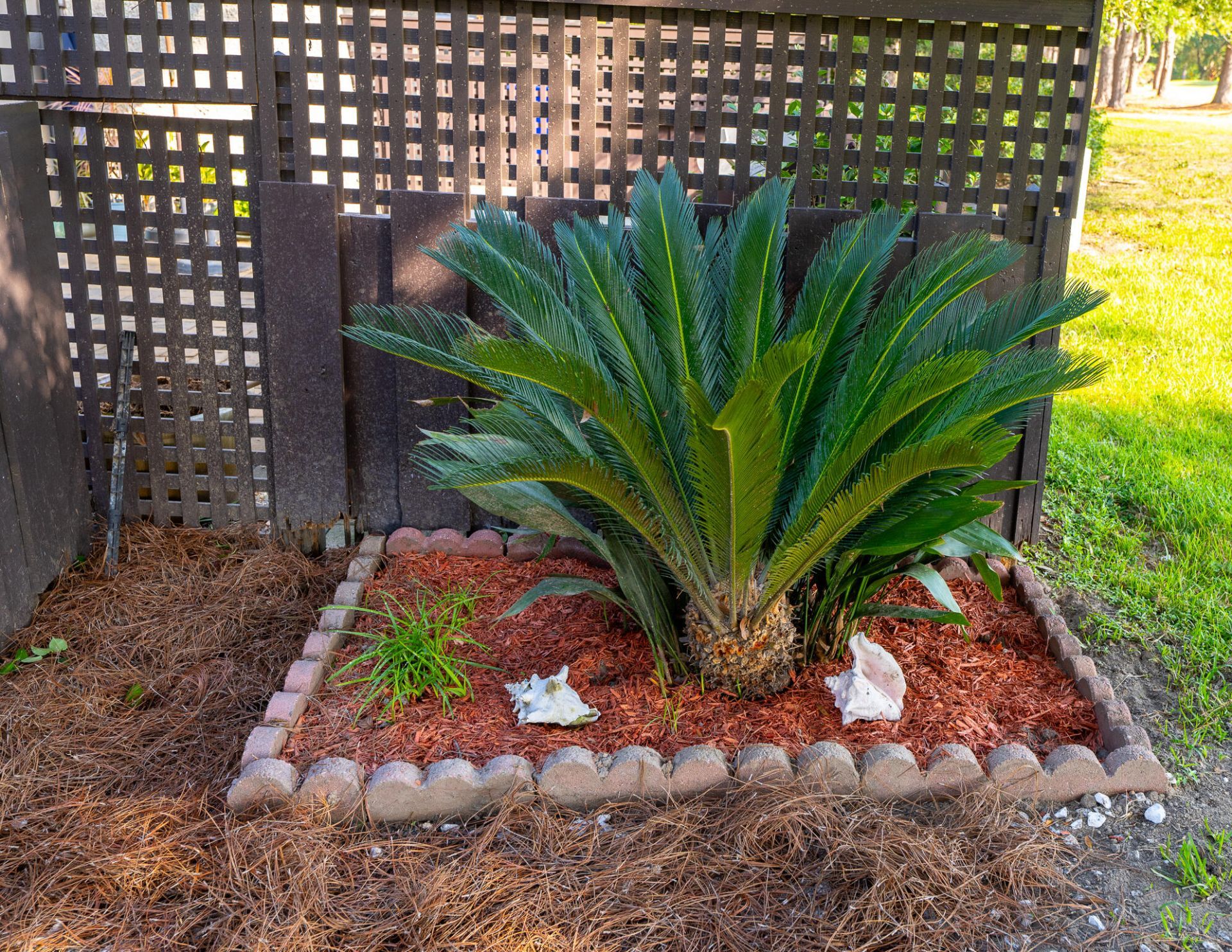 107 Ventura Place Photo 29