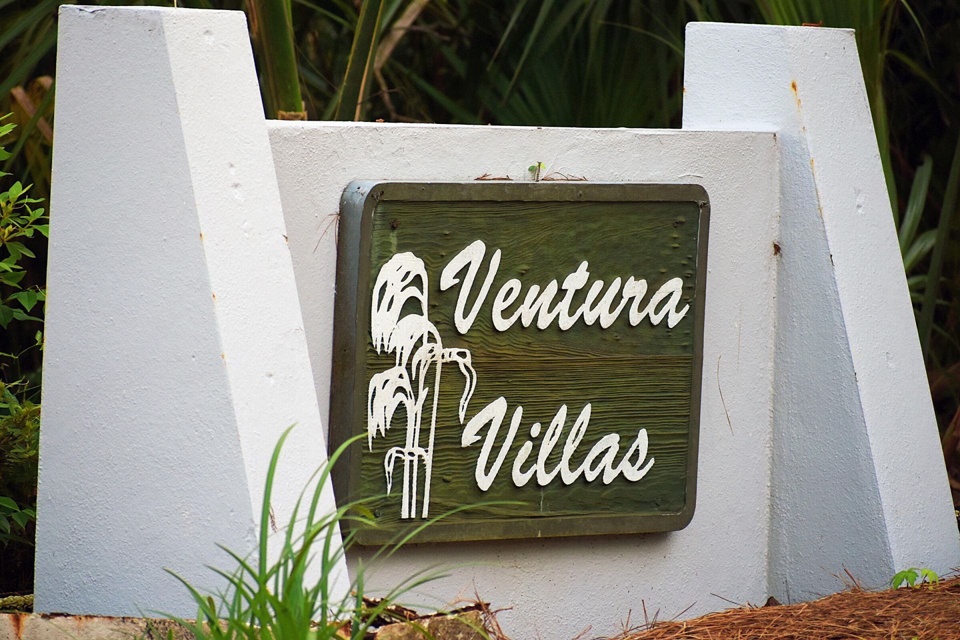 107 Ventura Place Photo 32