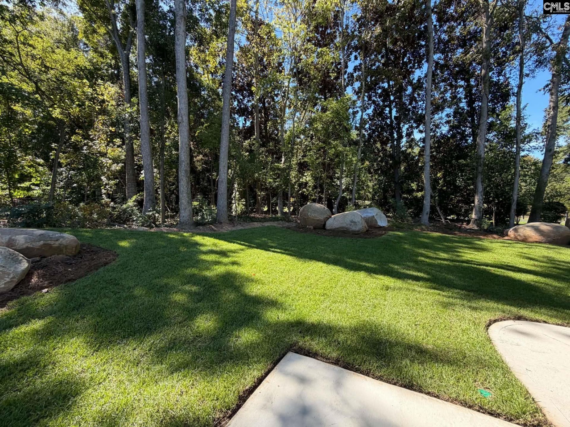 109 Pebble Stone Drive Photo 93