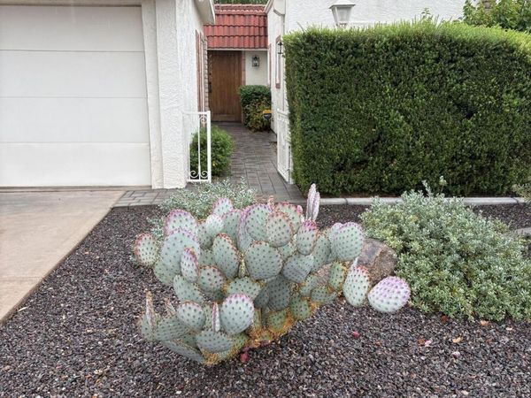 5619 E CENTURY Lane, Scottsdale, AZ 85254