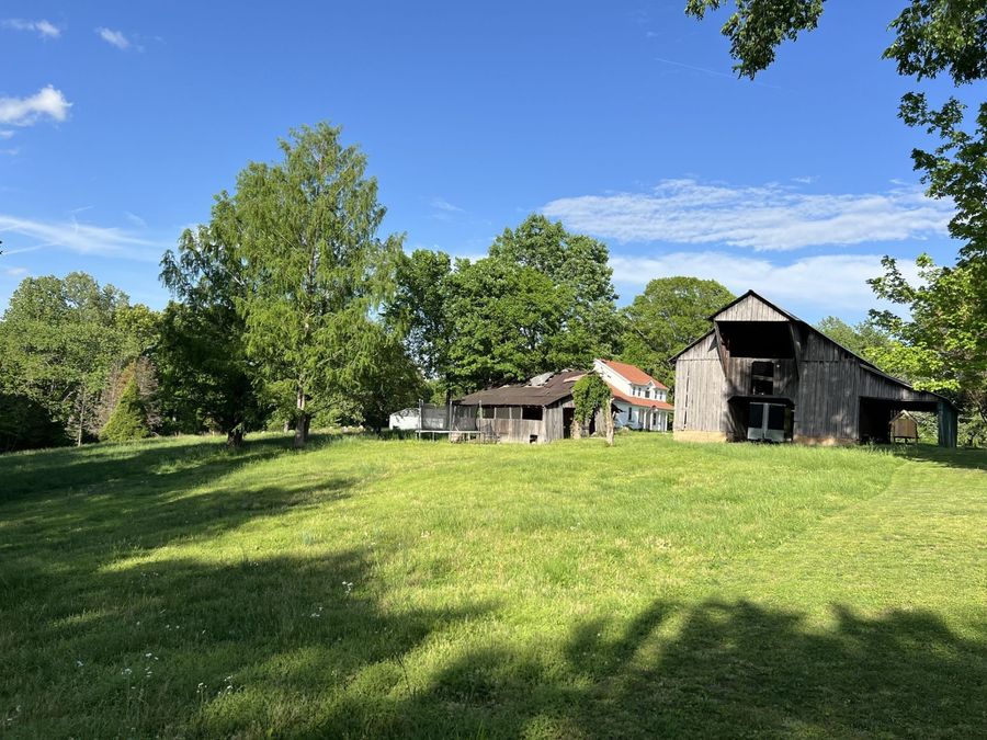 Property Image 45