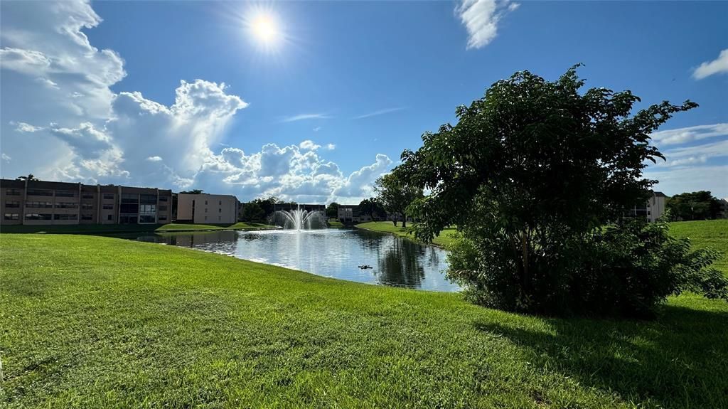 10207 Sunrise Lakes Boulevard, Unit 407, Sunrise, FL 33322 Photo