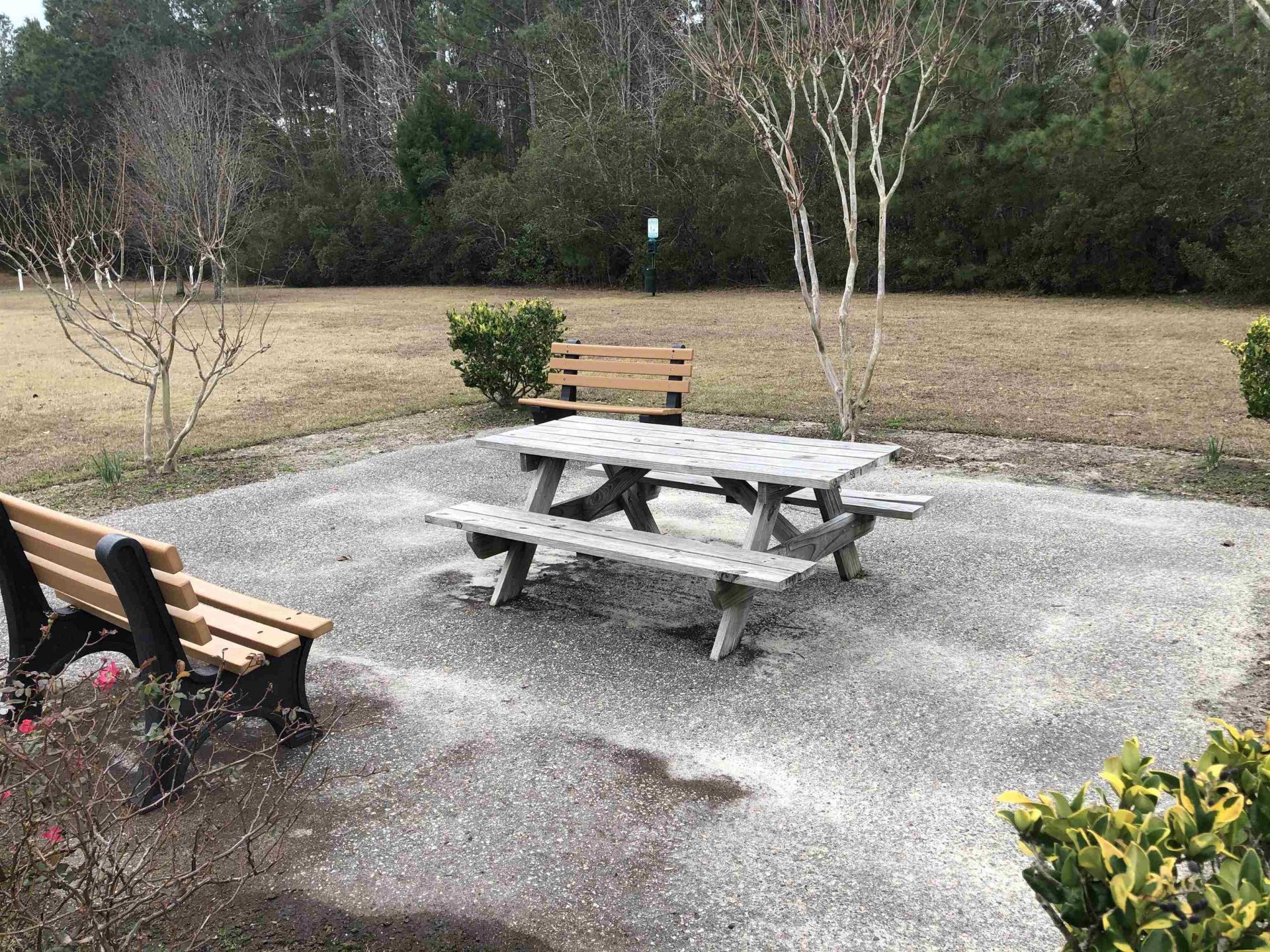 8642 Southbridge Dr.  Photo 17
