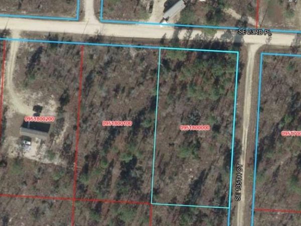 SE 23RD PLACE , MORRISTON, FL 32668