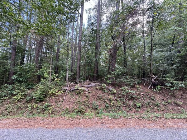 0 Forest Trail , Unit 11, Bumpus Mills, TN 37028