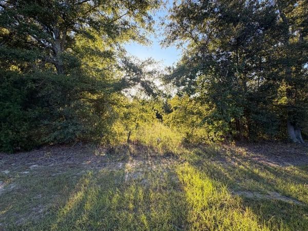 0 Hwy 1 N, Swainsboro, GA 30401