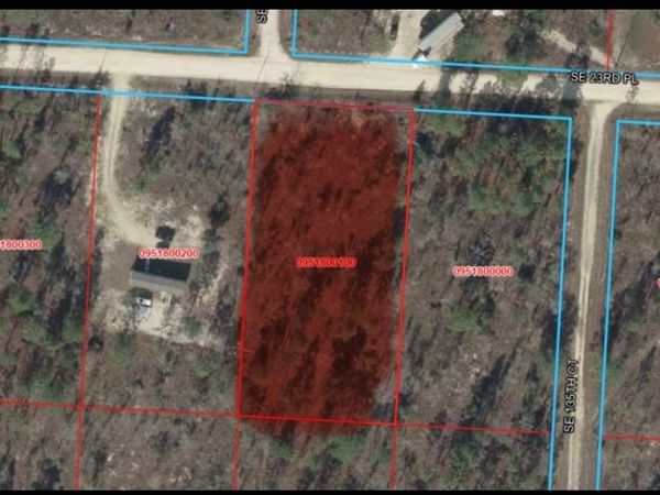 SE 23RD PLACE , MORRISTON, FL 32668