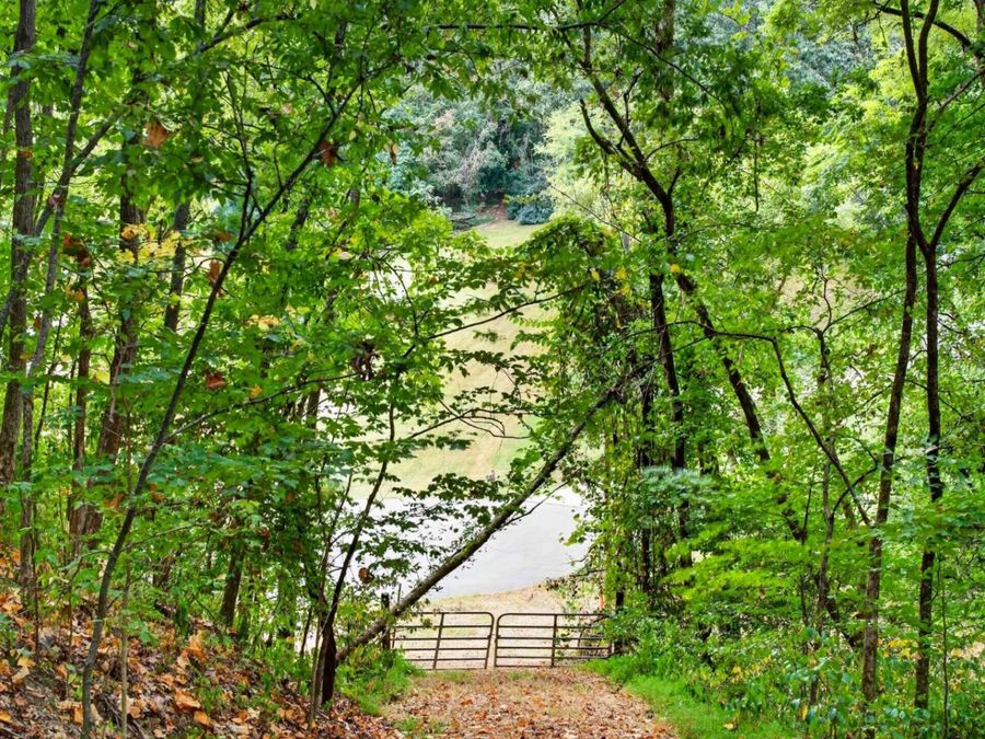 Property Image 36