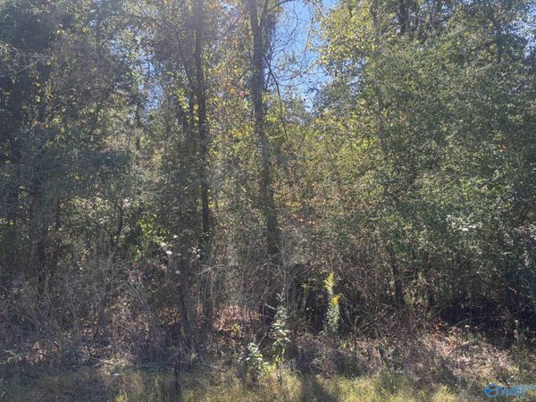29 Iris Lane, Bridgeport, AL 35740