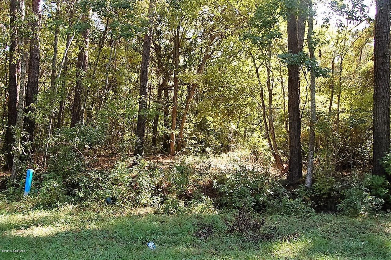 169 Laurel Bay Road Photo 4