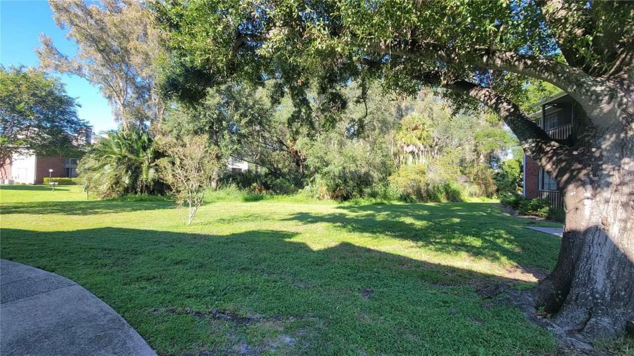 9100 Dr Martin Luther King Jr Street N, Unit 206, Saint Petersburg, FL 33702 Photo