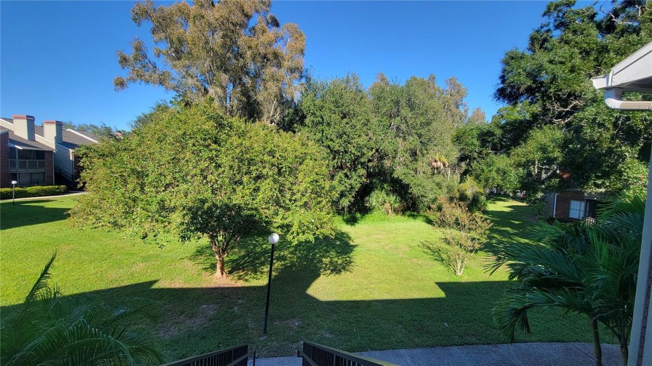 9100 Dr Martin Luther King Jr Street N, Unit 206, Saint Petersburg, FL 33702 Photo