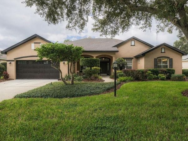 2929 FOREST HAMMOCK DRIVE , PLANT CITY, FL 33566
