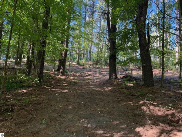 Raymond Road, Tustin, MI 49688