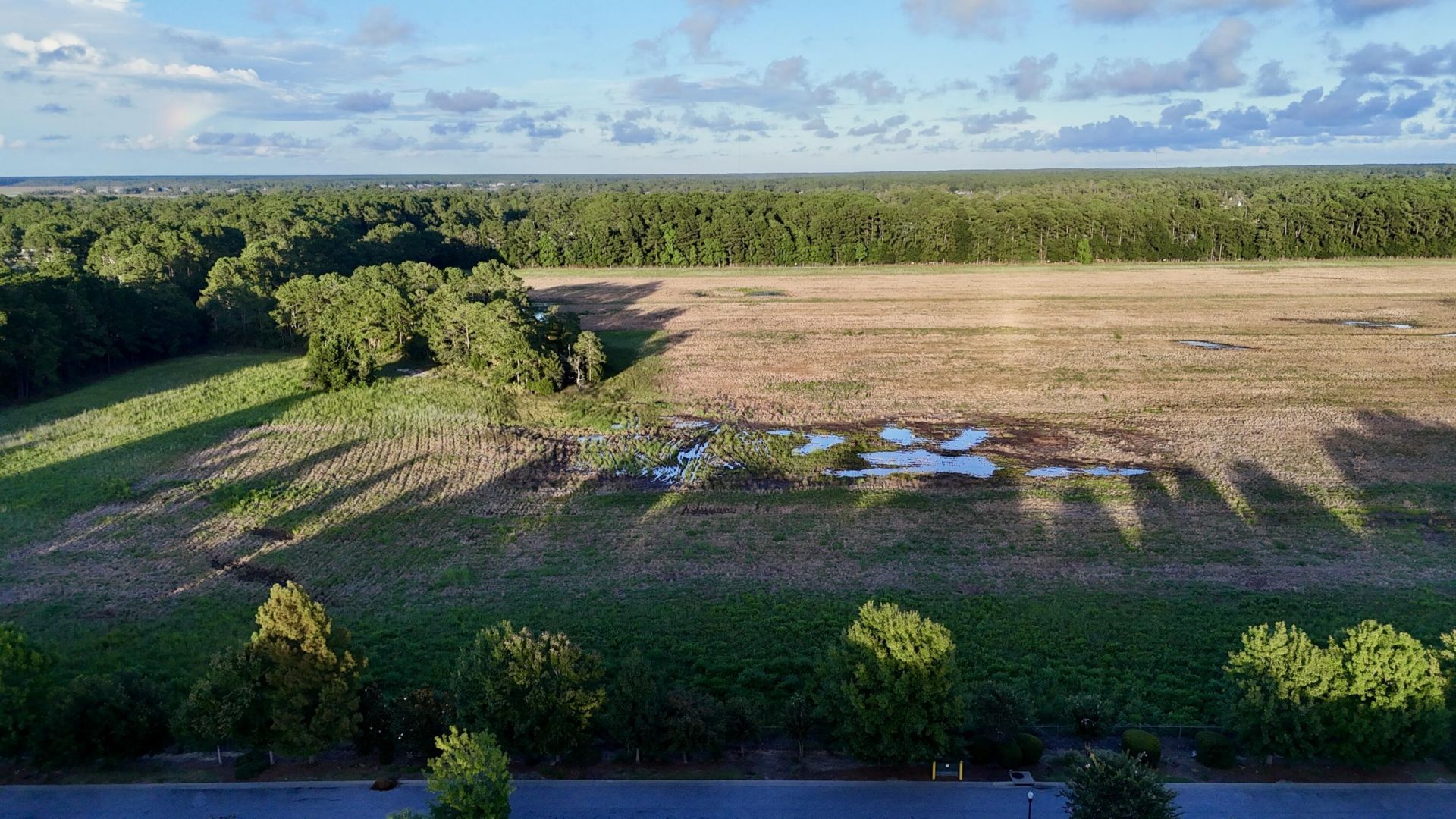 2108 Promenade Court Photo 6