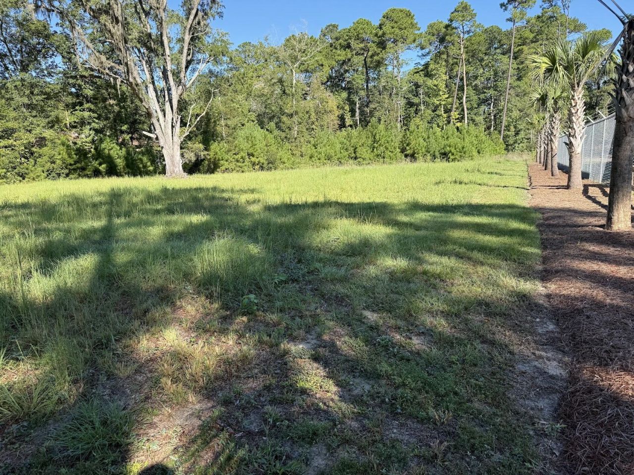 6142 Savannah Highway Photo 2