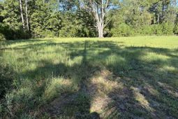 6142 Savannah Highway  photo 4
