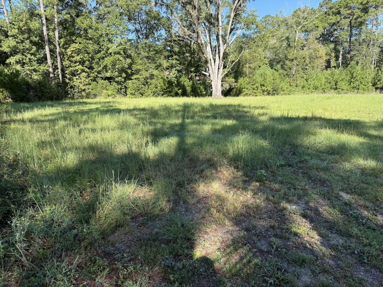 6142 Savannah Highway Photo 3