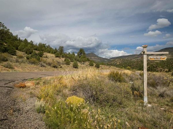 963 Bear Creek Circle, South Fork, CO 81154